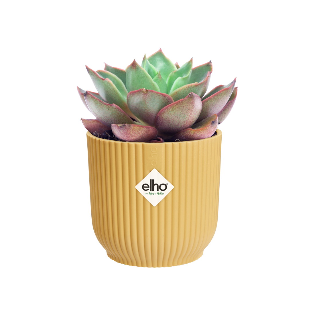 Vibes Fold Round Mini 7cm Butter Yellow | Cornwall Garden Shop | UK