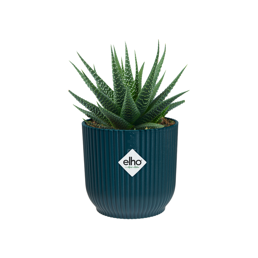 Vibes Fold Round Mini 7cm Deep Blue | Cornwall Garden Shop | UK