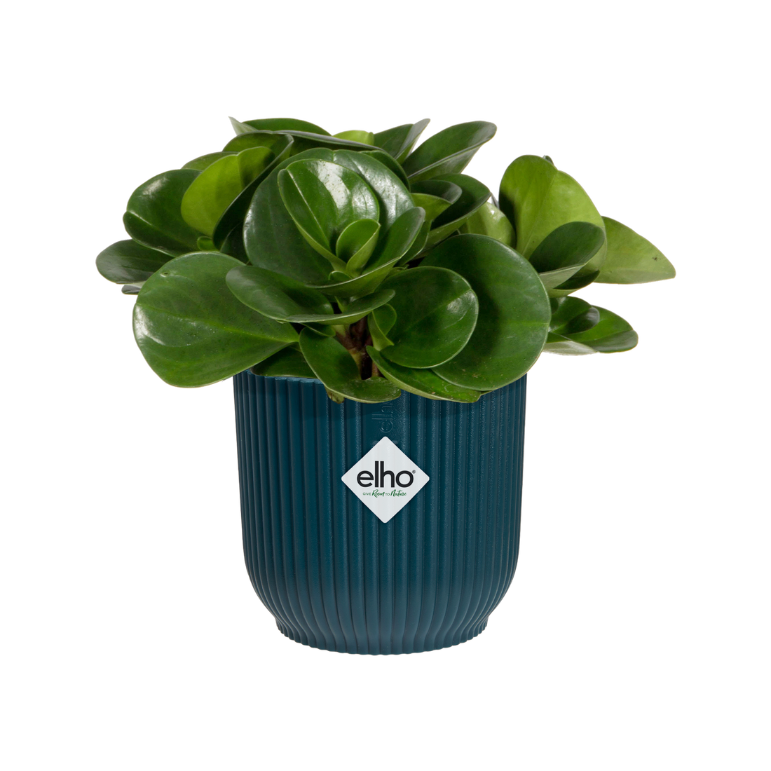 Vibes Fold Round Mini 7cm Deep Blue | Cornwall Garden Shop | UK