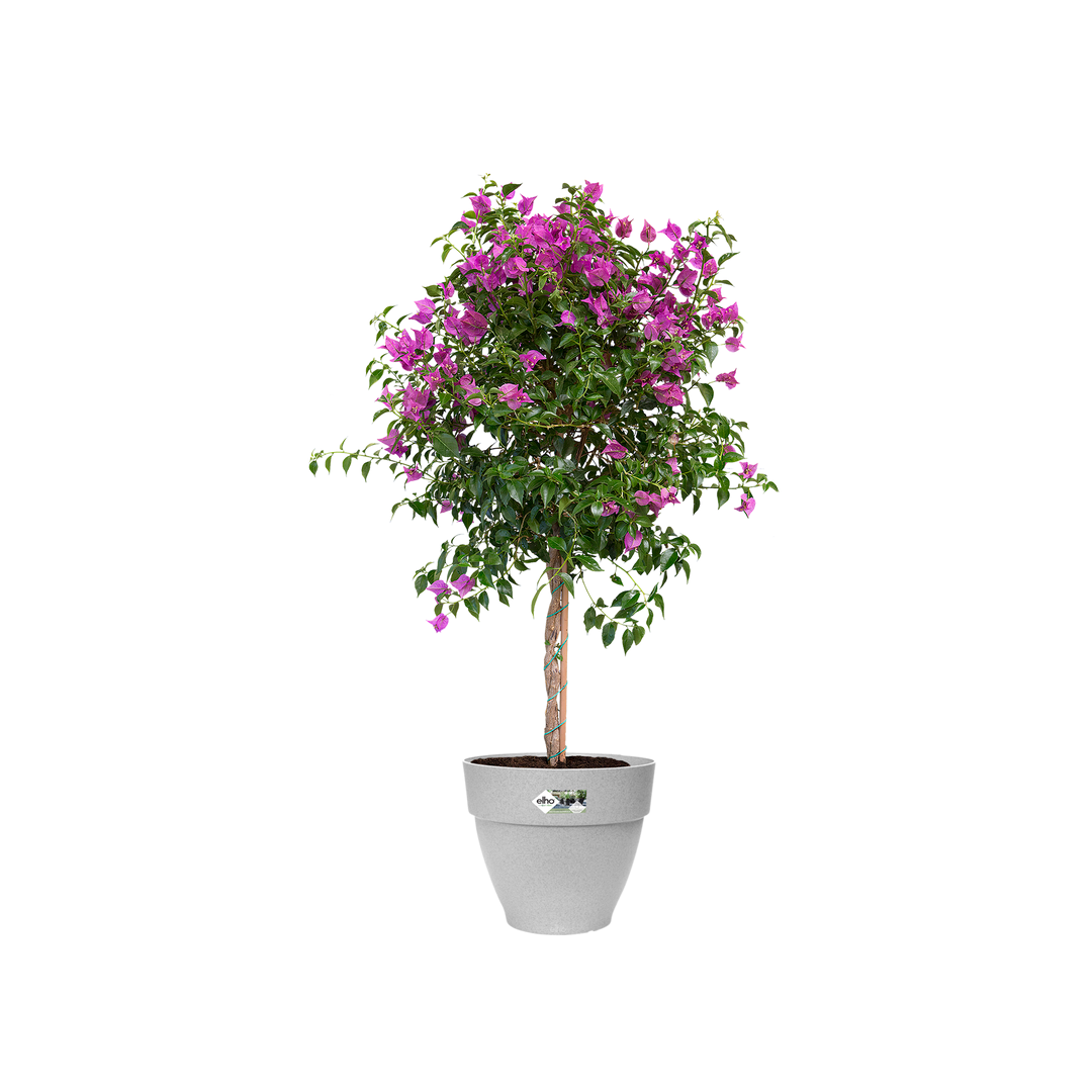 Vibia Campana Round 55cm Living Concrete