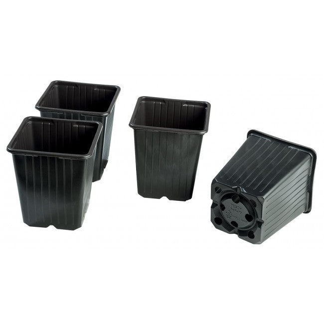 Picking Out Pots 9cm (18pk)