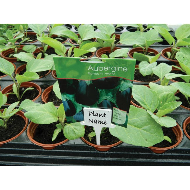 Plant Tee Labels White (10pk)