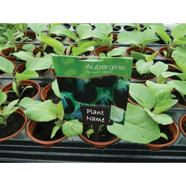 Plant Tee Labels Black (10)