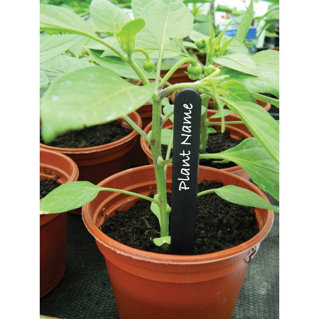 Plant Labels 4" (10cm) Black (25)