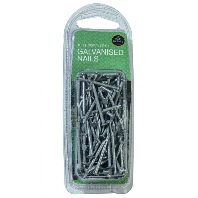 Nails Galvanised 1 1/4" (30mm) - 100g