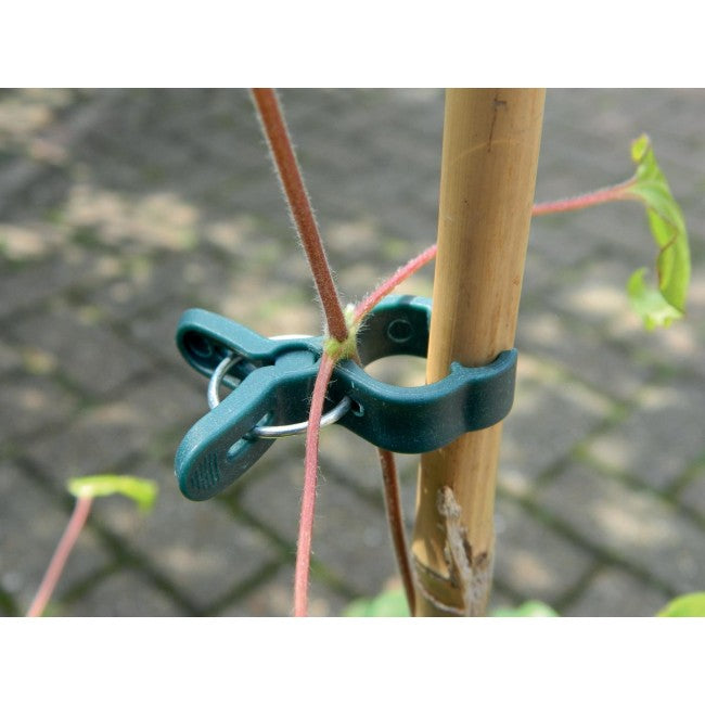 Plant Clips Small with Spring (5pk)
