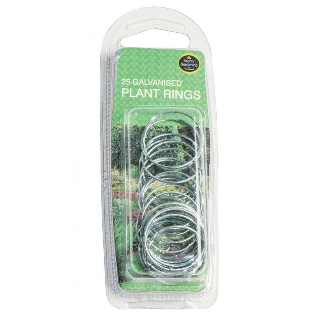 Plant Rings Galvanised (25pk)