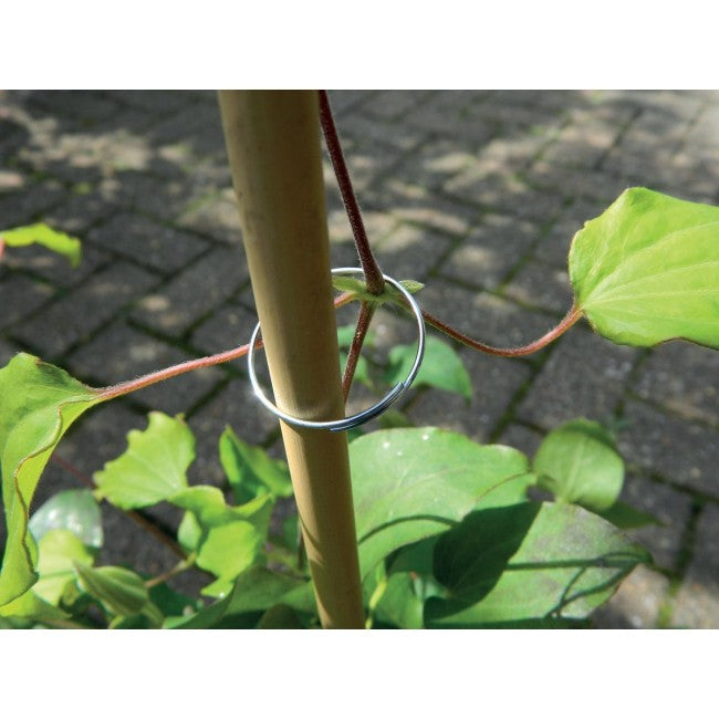 Plant Rings Galvanised (25pk)