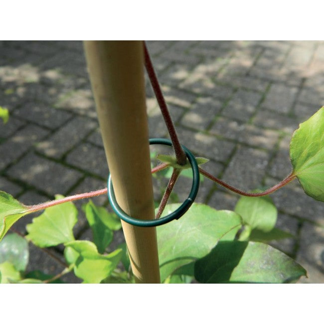 Plant Rings Plastic Coated (25pk)
