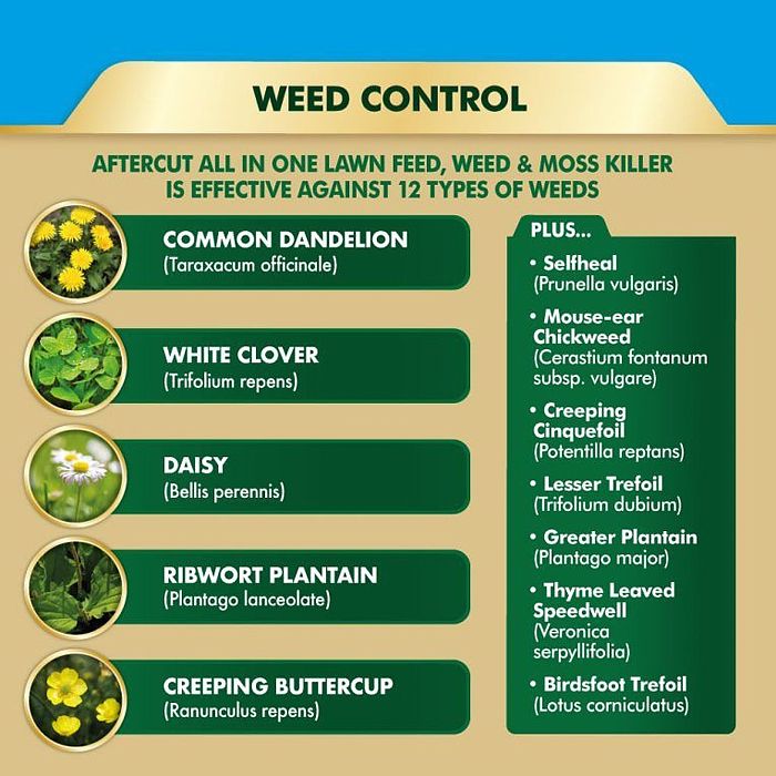 Lawn Feed Aftercut Spreader All in One Lawn Feed, Weed & Moss Killer 80m2