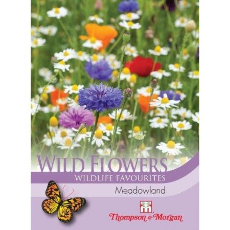 Wild Flower Meadowland Flower Seeds
