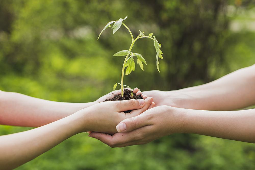 Read Fun Ways to Get Children Interested in Gardening - Cornwall Garden Shop