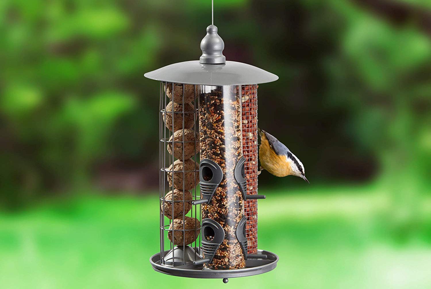Read How to Choose the Right Bird Feeder for Your Garden - Cornwall Garden Shop