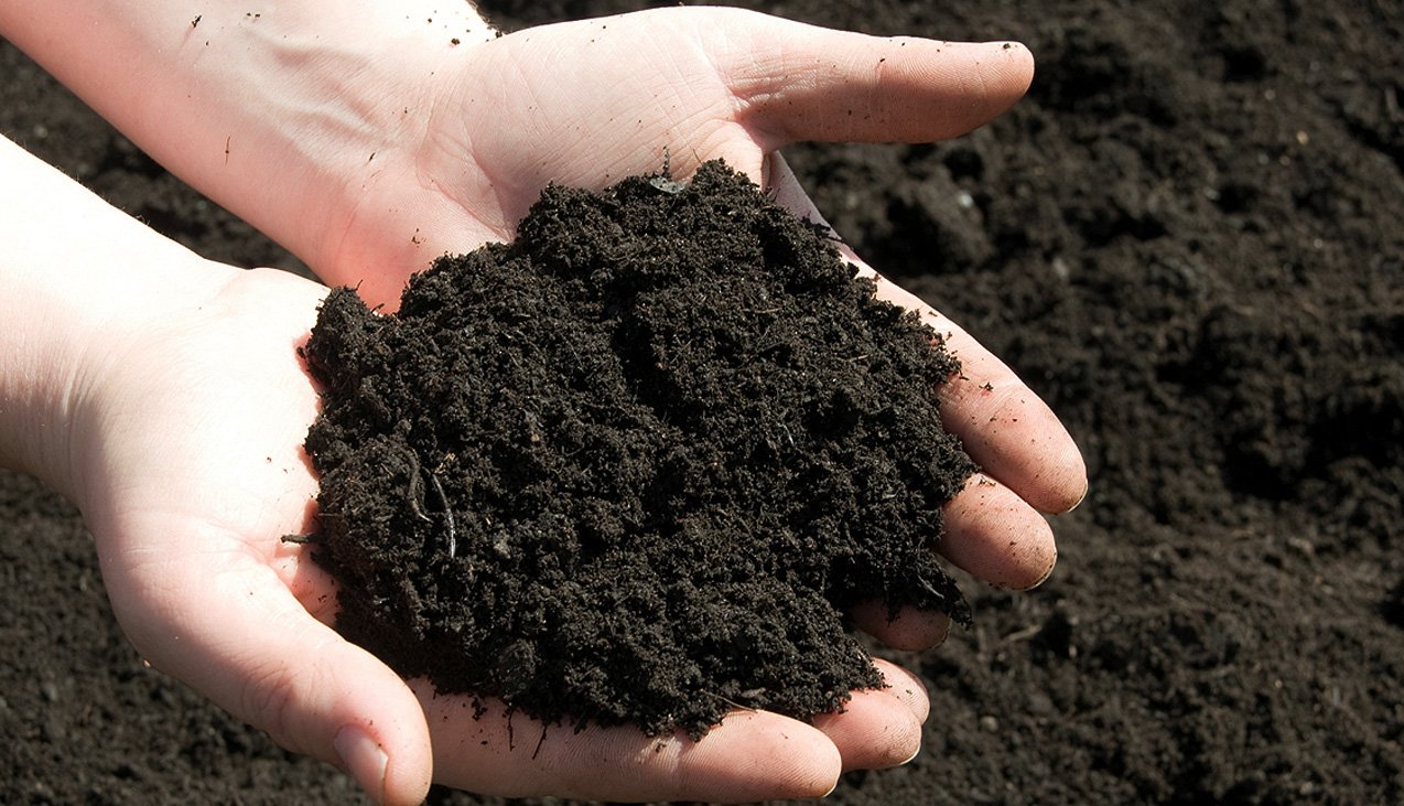 Read Choosing the Perfect Compost - Cornwall Garden Shop