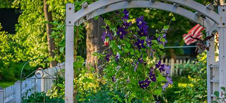 Arches & arbours