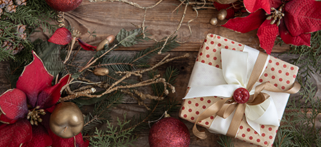 Cornwall Garden Shop Christmas Collection