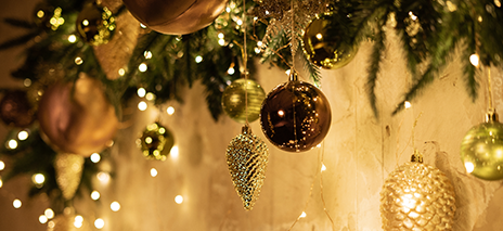 Smart Garden Products Christmas Collection