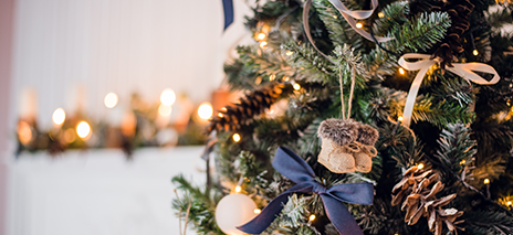 Fresh Cut Christmas Trees