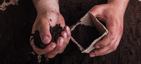 Compost