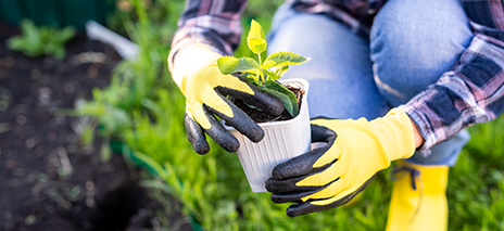 Gardening Gloves