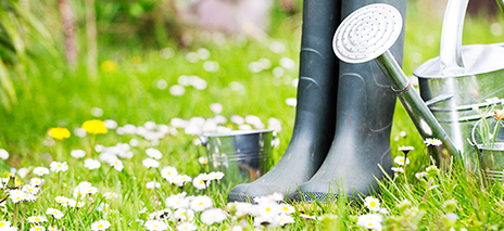 Gardening Footwear