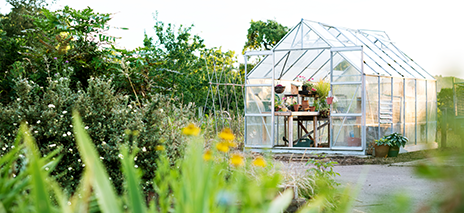 Greenhouse Accessories