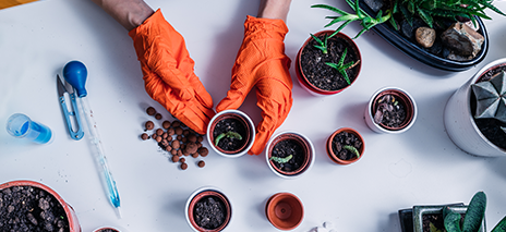 Indoor Plastic Pots