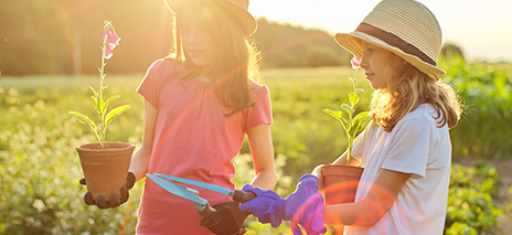 Kid's Gardening