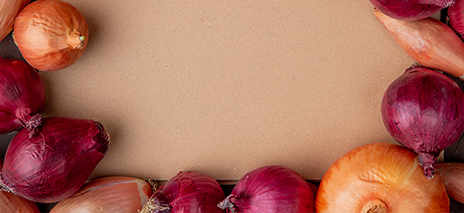 Onion Sets