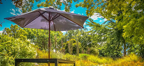 Parasols & Parasol Bases