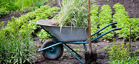 Wheelbarrows