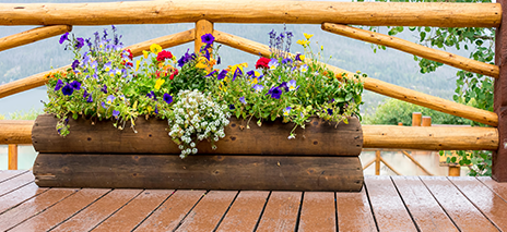 Wooden Planters