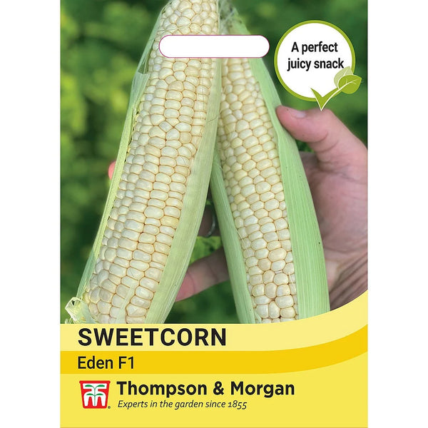 Sweetcorn Eden F1