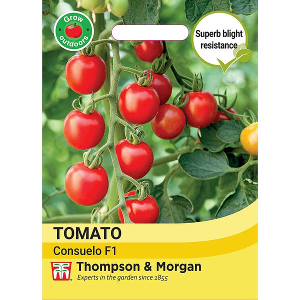 Tomato Consuelo (Crimson Cherry)