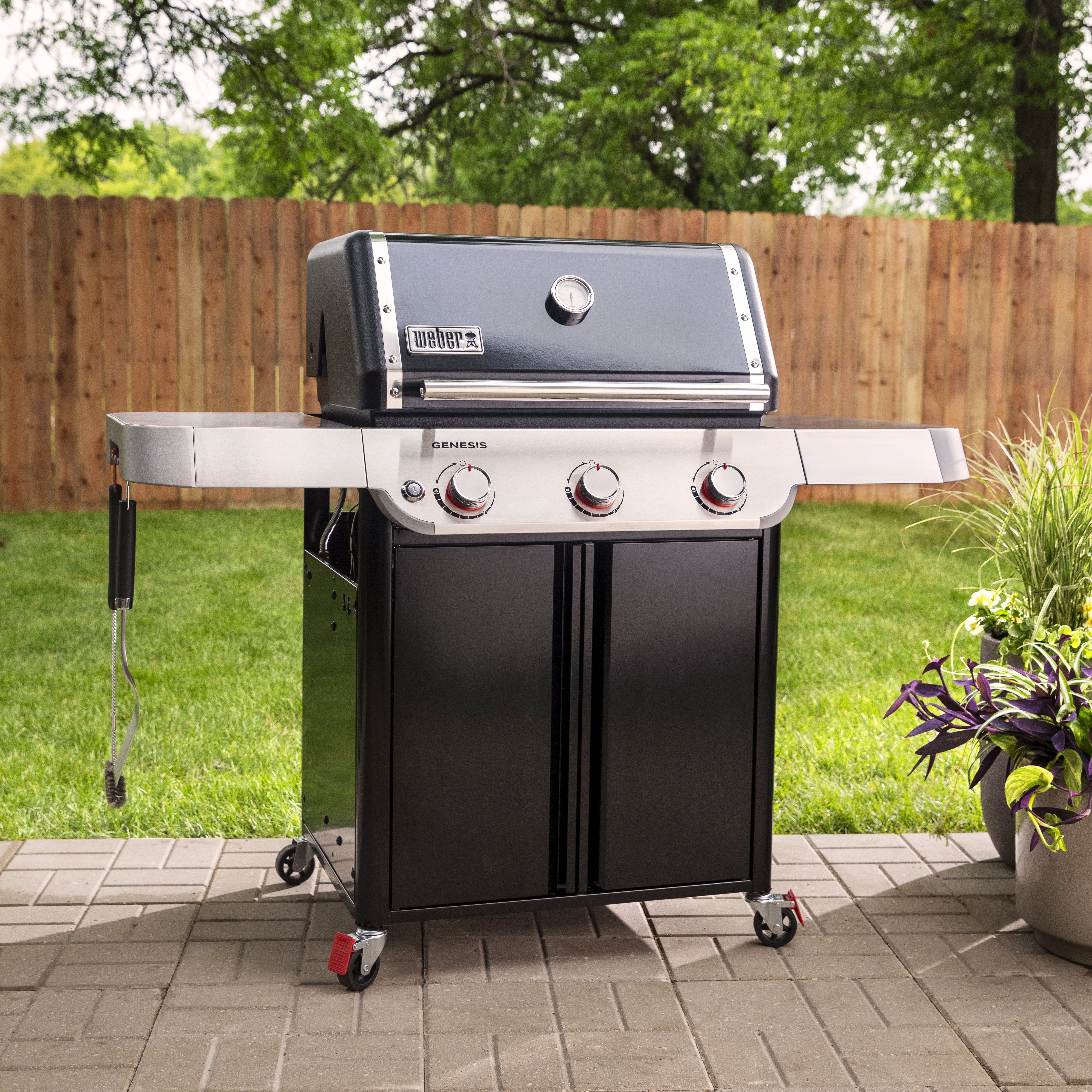 Genesis E-315 Gas Barbecue