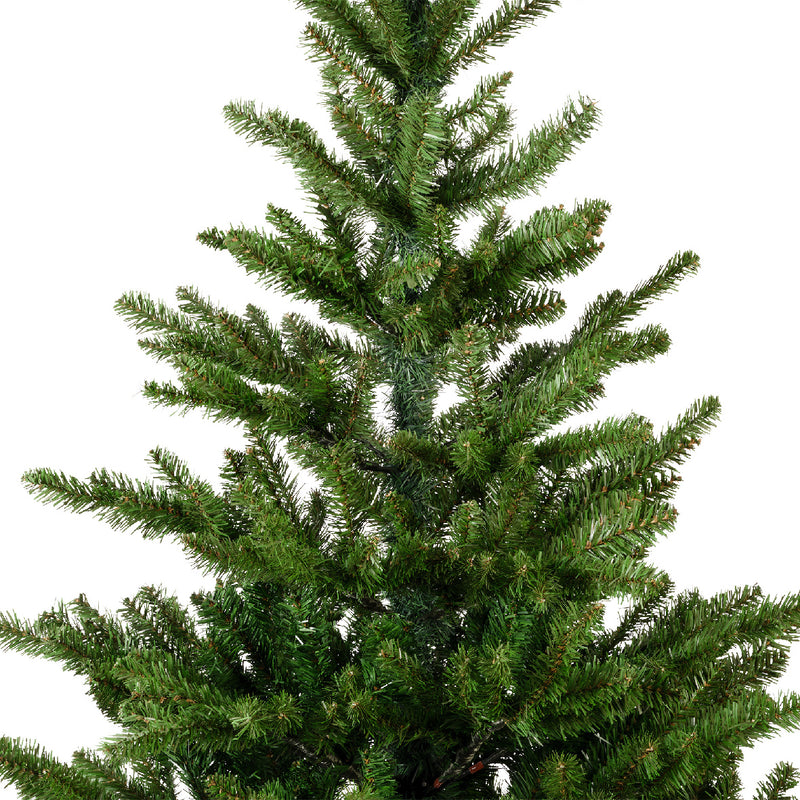 Liberty spruce