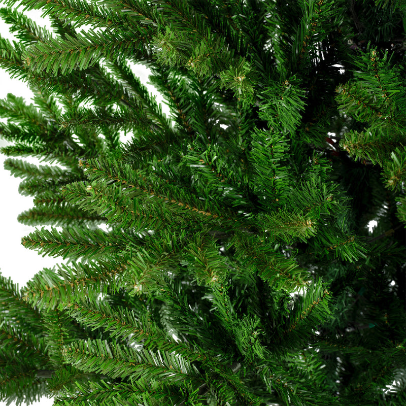 Liberty spruce
