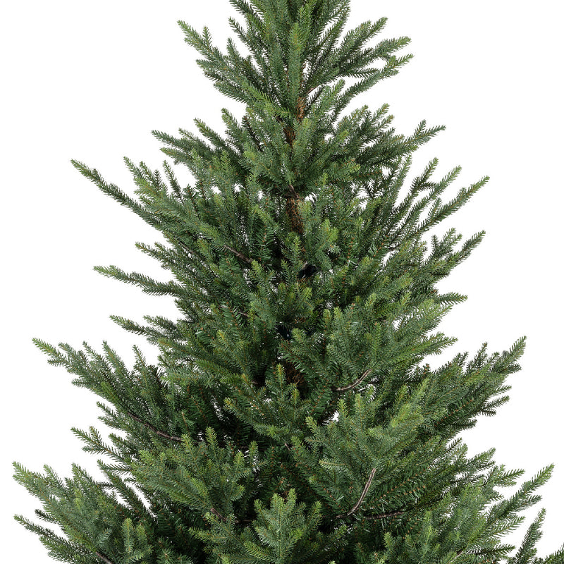 Norway spruce 270cm