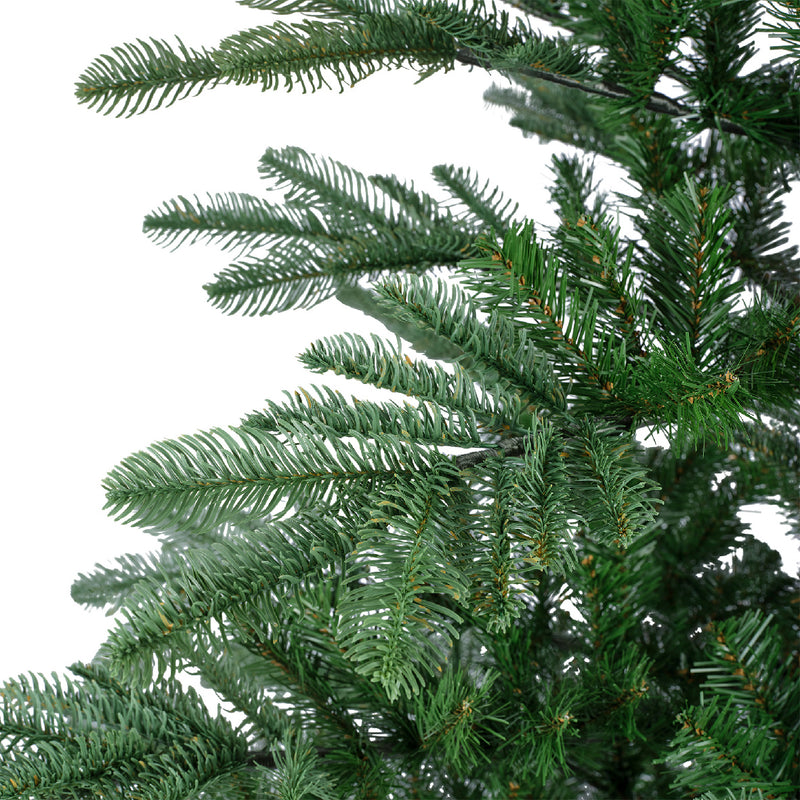 Nobilis fir 240cm