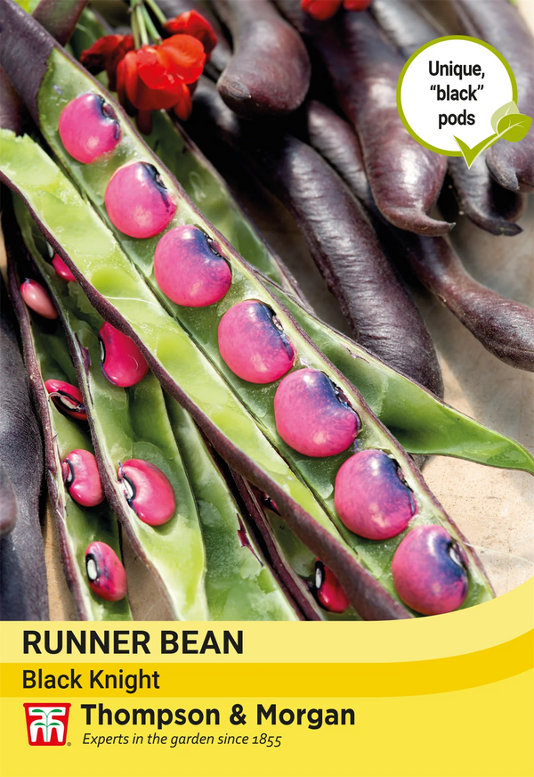 Bean Runner Black Knight