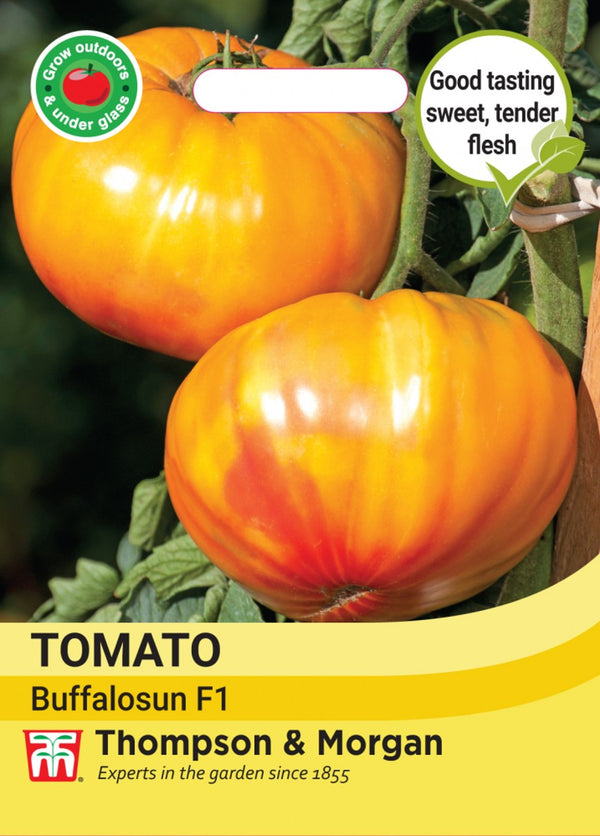 Tomato Buffalosun F1