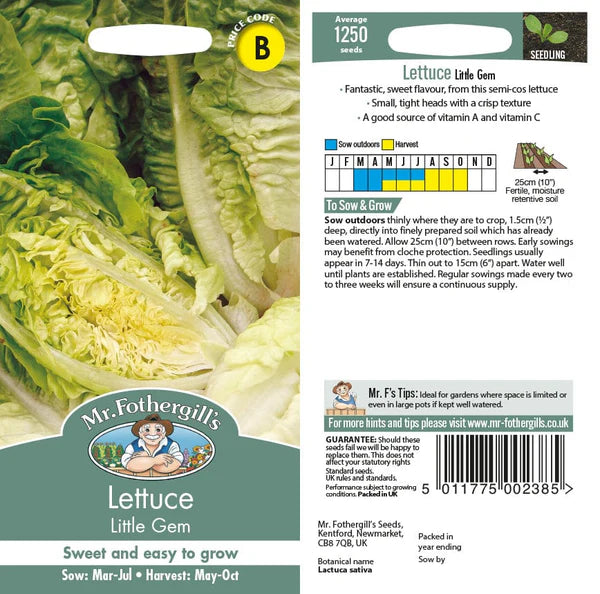 LETTUCE Little Gem