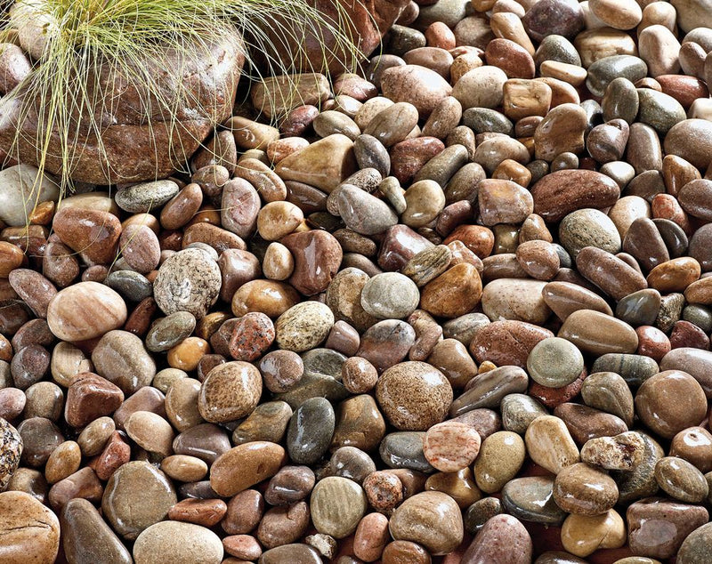 North Sea Cobbles