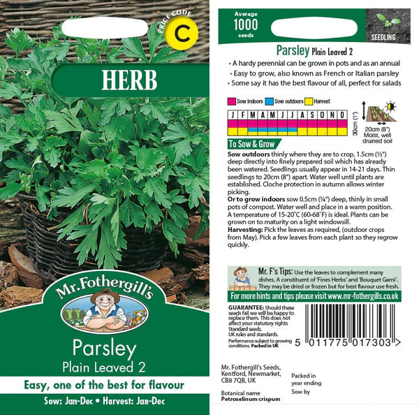 PARSLEY Plain Leaved 2