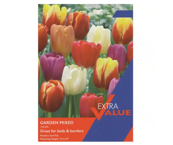 Tulip Bulbs - Garden Mix