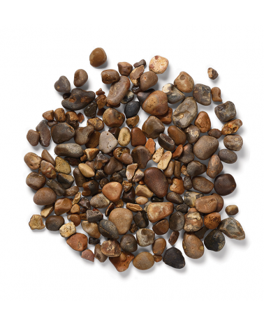 Oyster Pearl Pebbles | Cornwall Garden Shop | UK