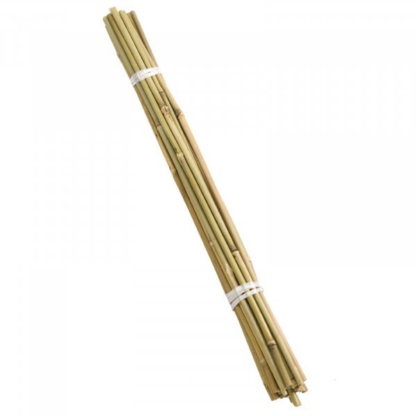 240cm Bamboo Canes Bundle 10 8ft