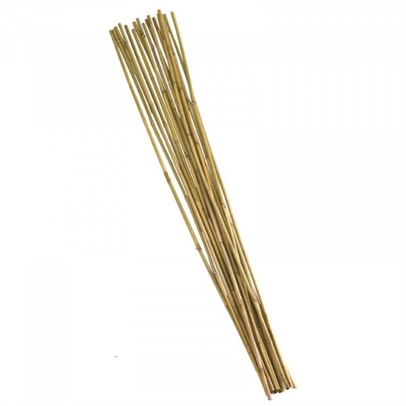 150cm Bamboo Canes Bundle 20