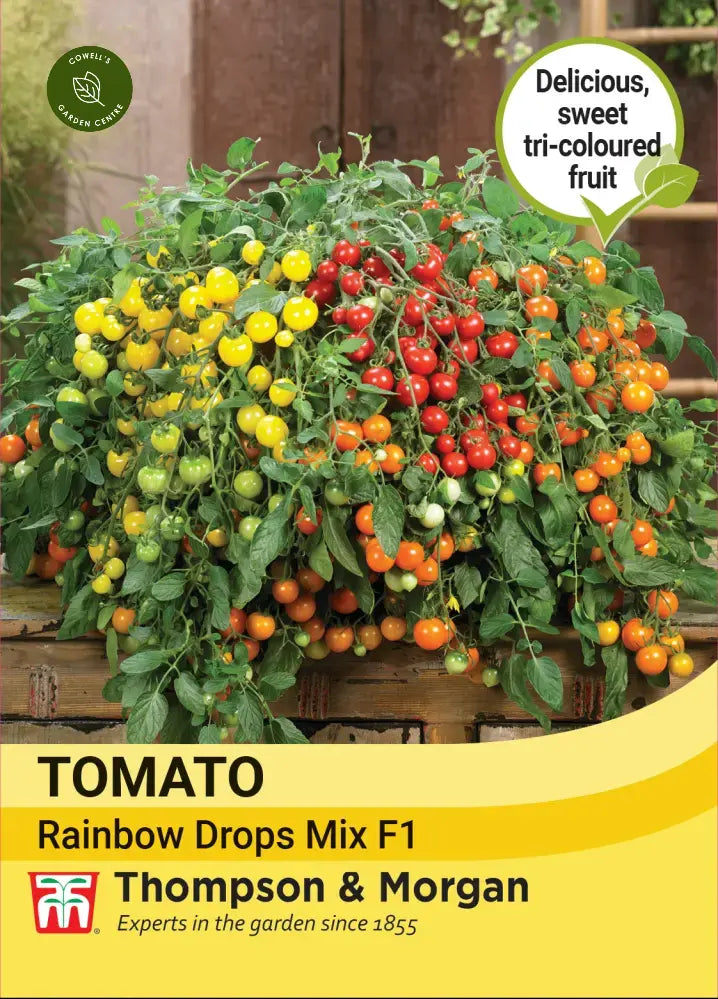 Tomato Rainbow Drops Mix F1