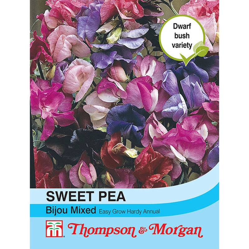 Sweet Pea Bijou Mixed Flower Seeds